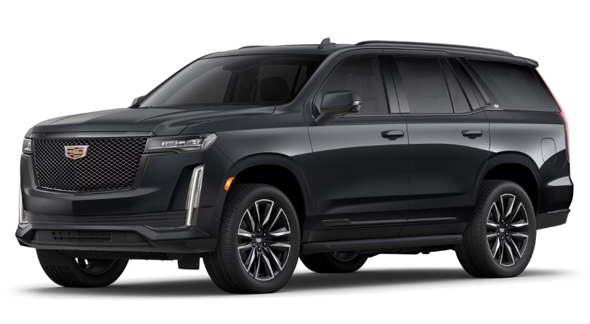 Selected vehicle