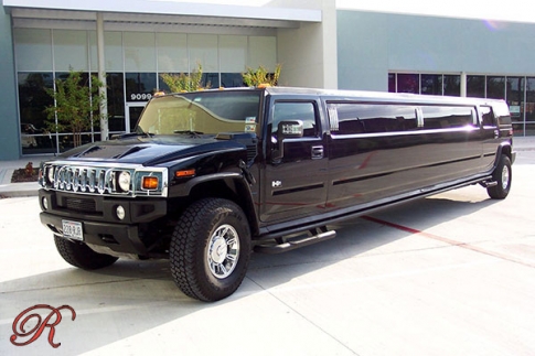 Selected vehicle